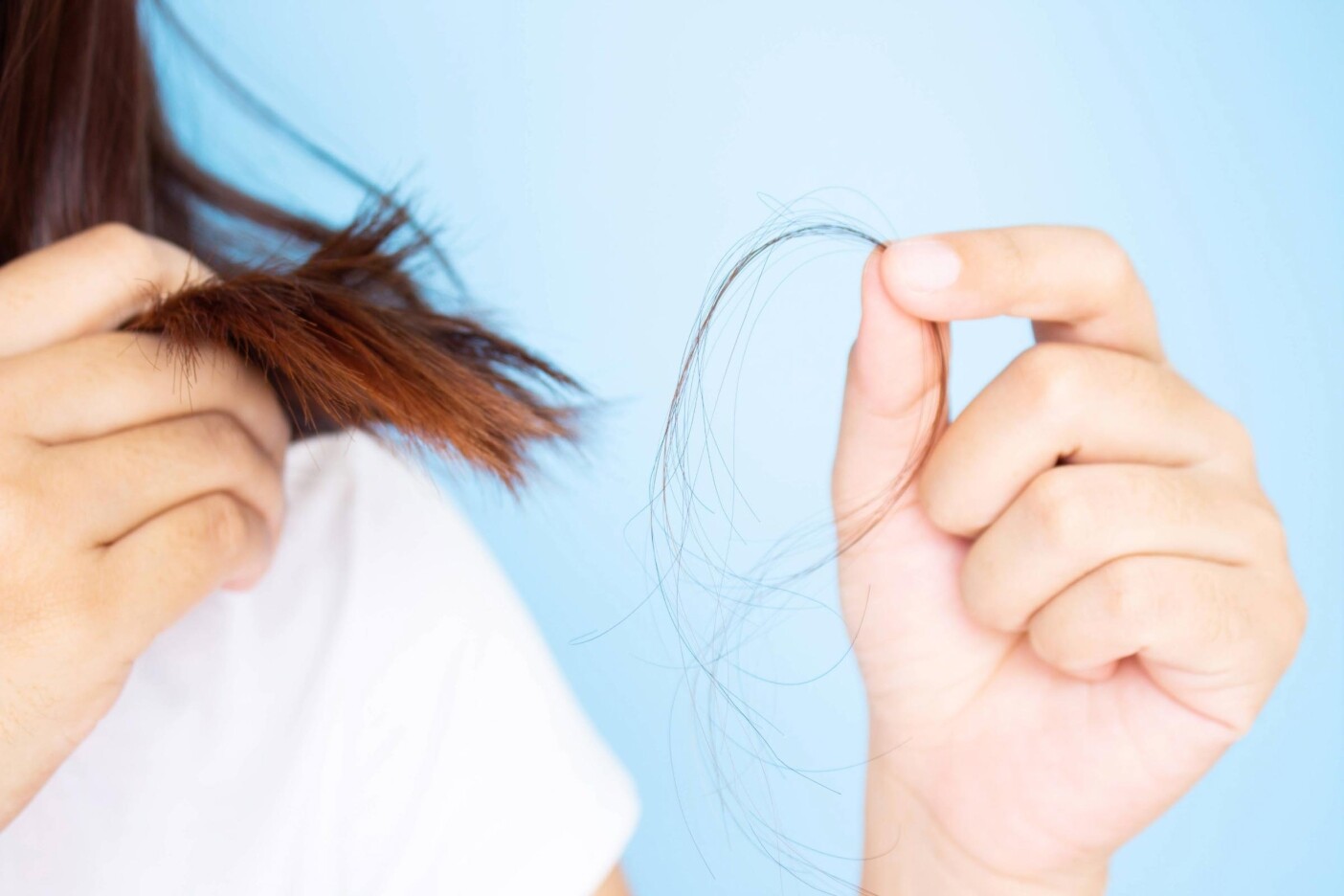 hair loss awareness A person holding a clump of fallen hair in one hand and touching the ends of their brown hair with the other, against a light blue background, raising awareness for Hair Loss Awareness Month.